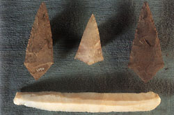 Puntas de flecha y hojas de silex de la necrópolis megalítica de Cotogrande (Cabral, Vigo)